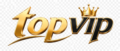 Top VIP Logo